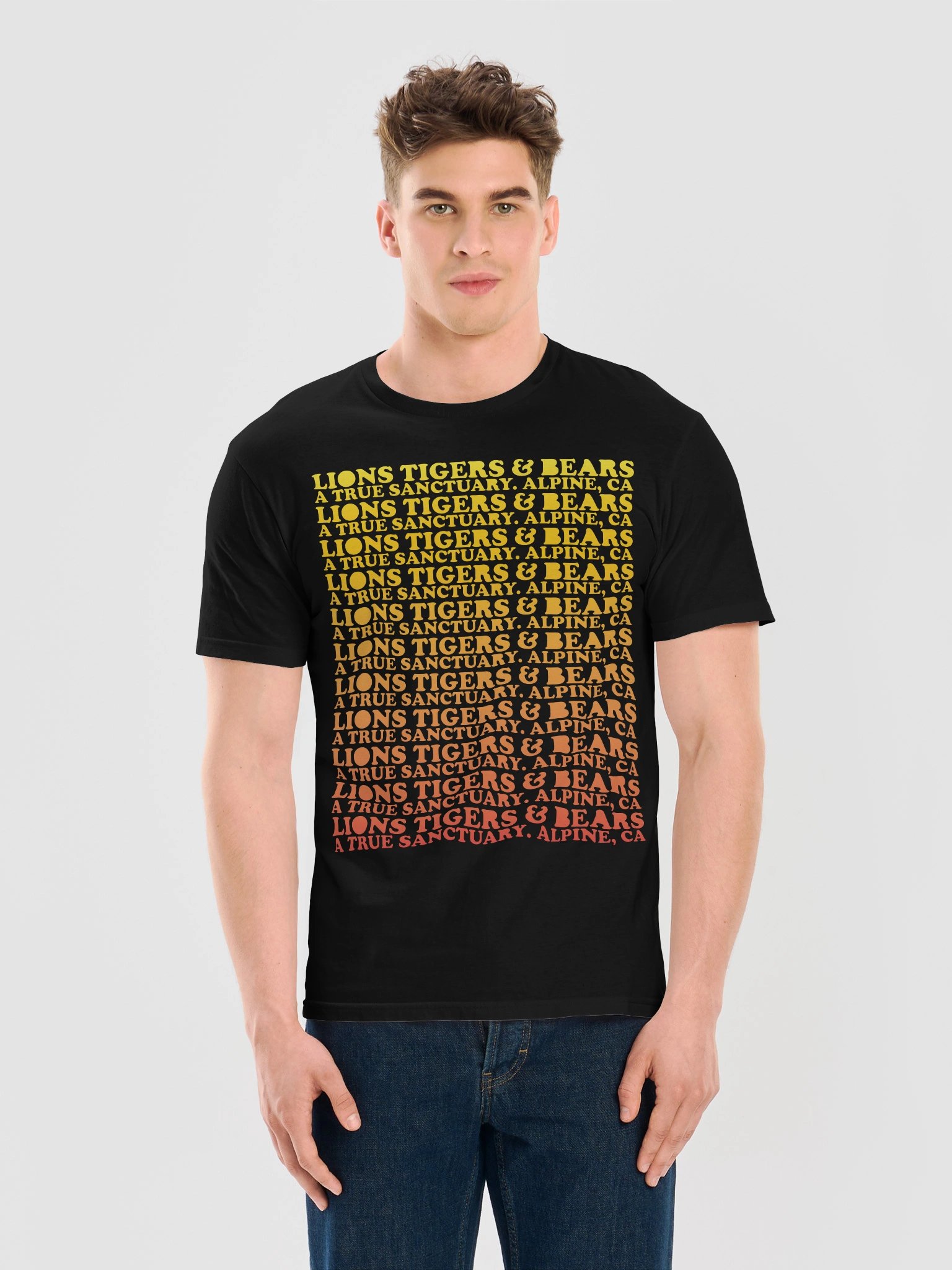LTB Sunrise Block Tee product image (11)