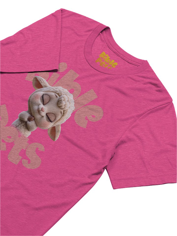 Tabby Praying Adult T-Shirt product image (10)
