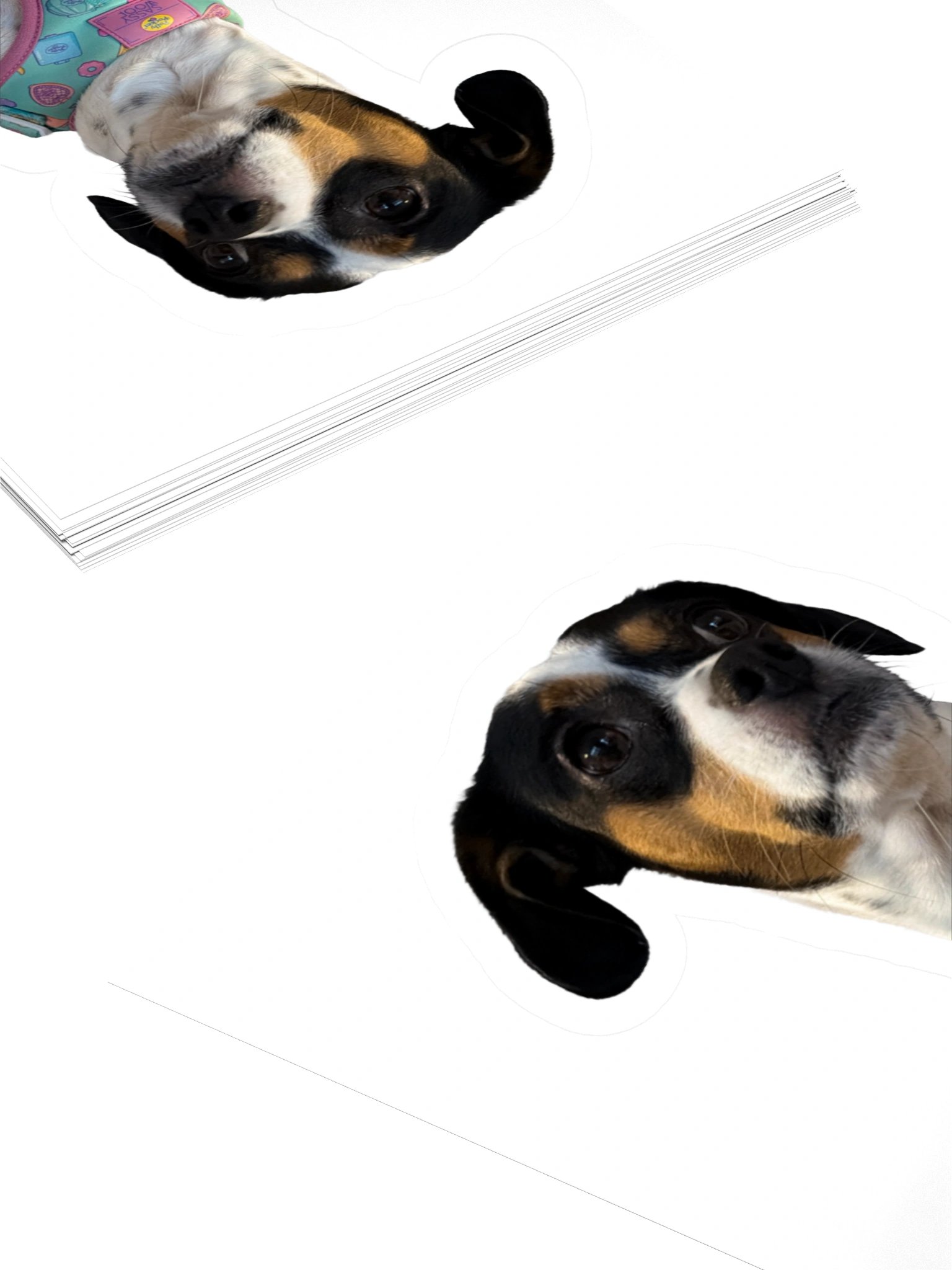 Odessa Sticker product image (4)