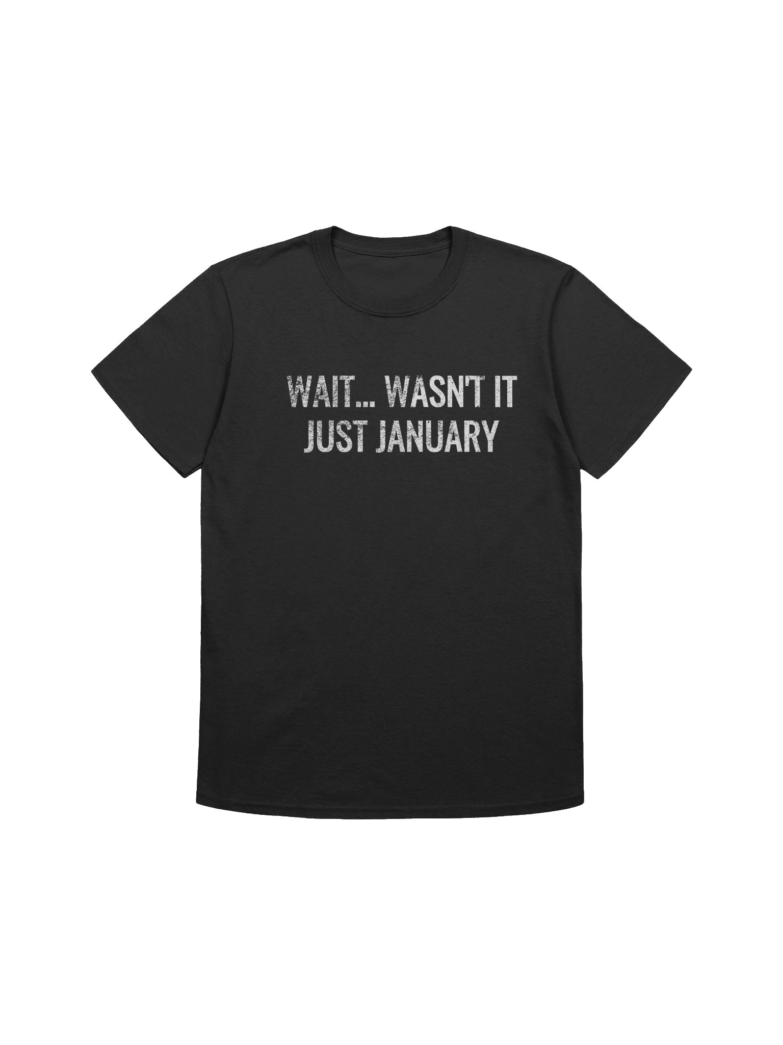 Funny Unisex T-Shirt 2025 - Wait… wasn’t it just January? product image (1)