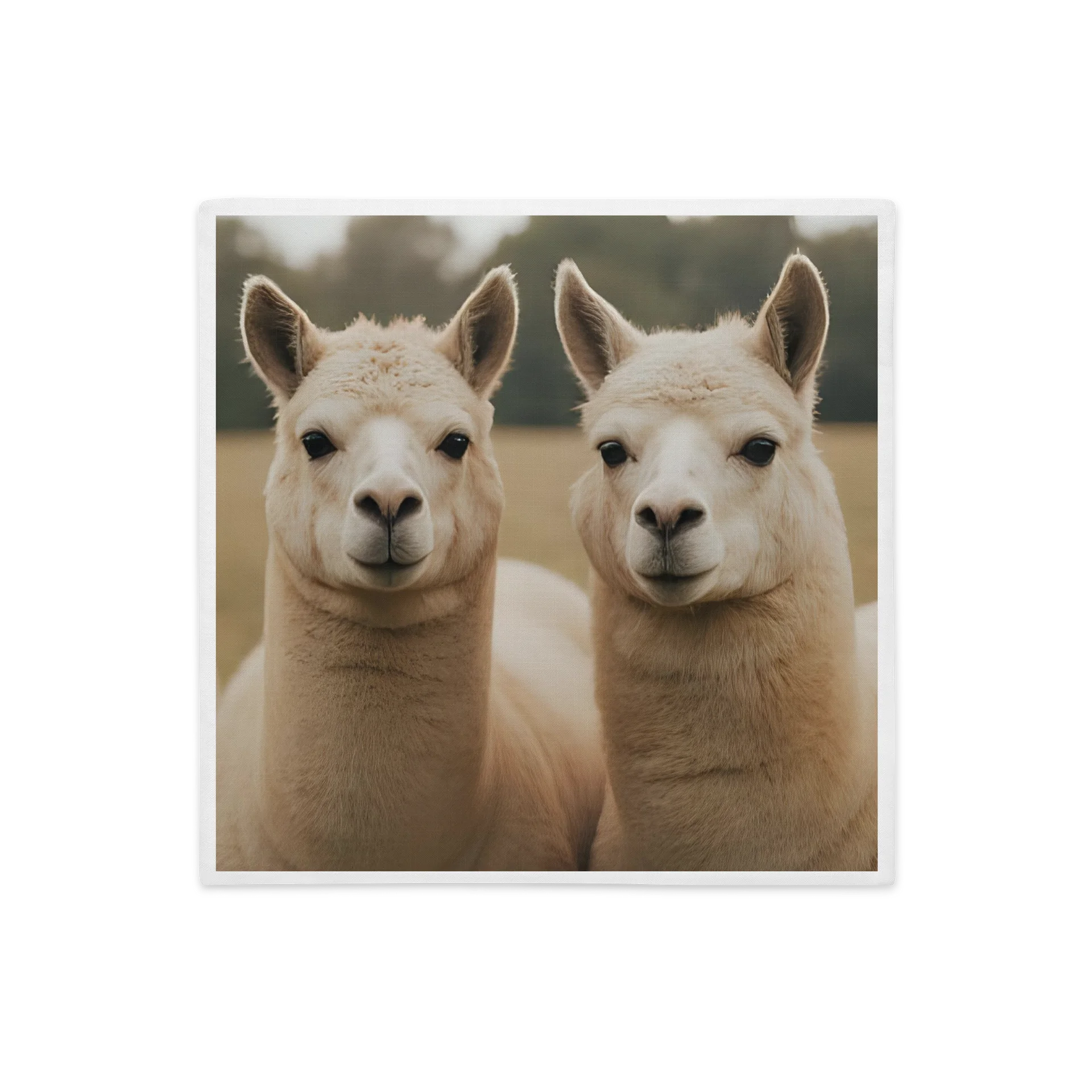Majestic Alpacas Premium Pillow Case product image (1)