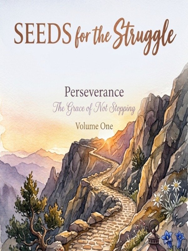 Perseverance product image (1)