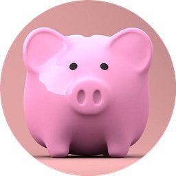 🐷 WUPPLES® Gold
