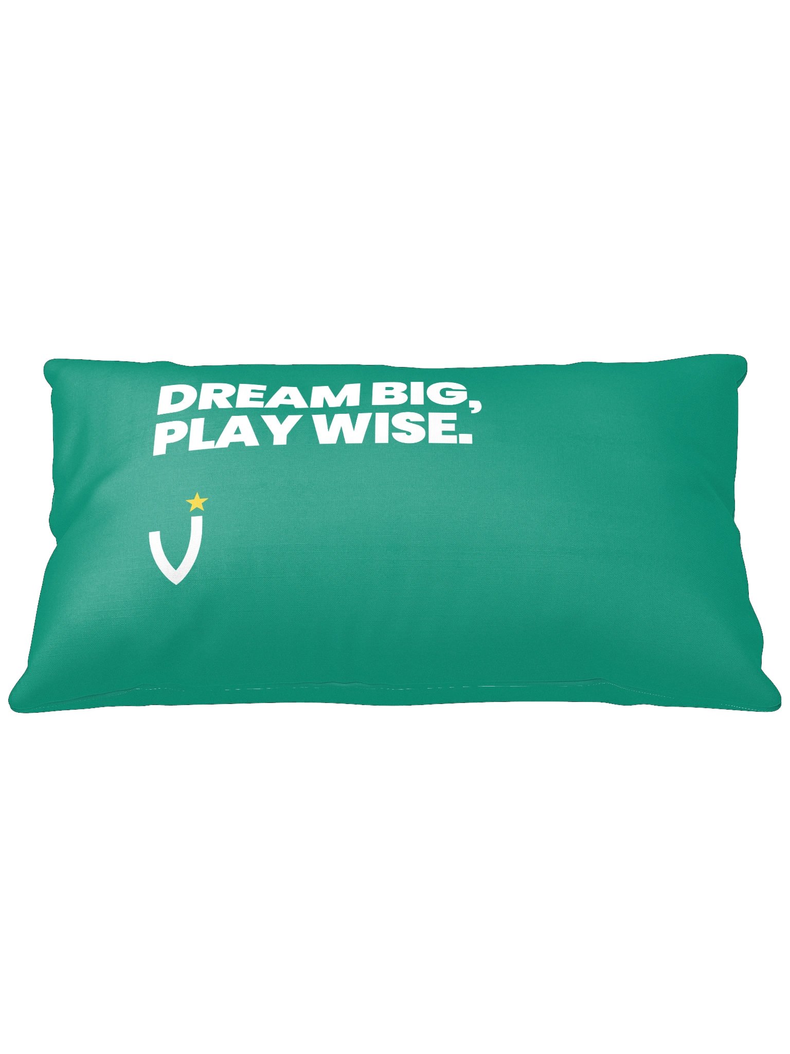 DREAM BIG, PLAY WISE Basic Pillow product image (1)