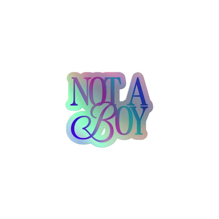 Not A Boy - Holo Sticker product image (1)