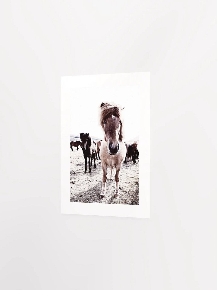 Iceland Horses Passepartout Print product image (14)