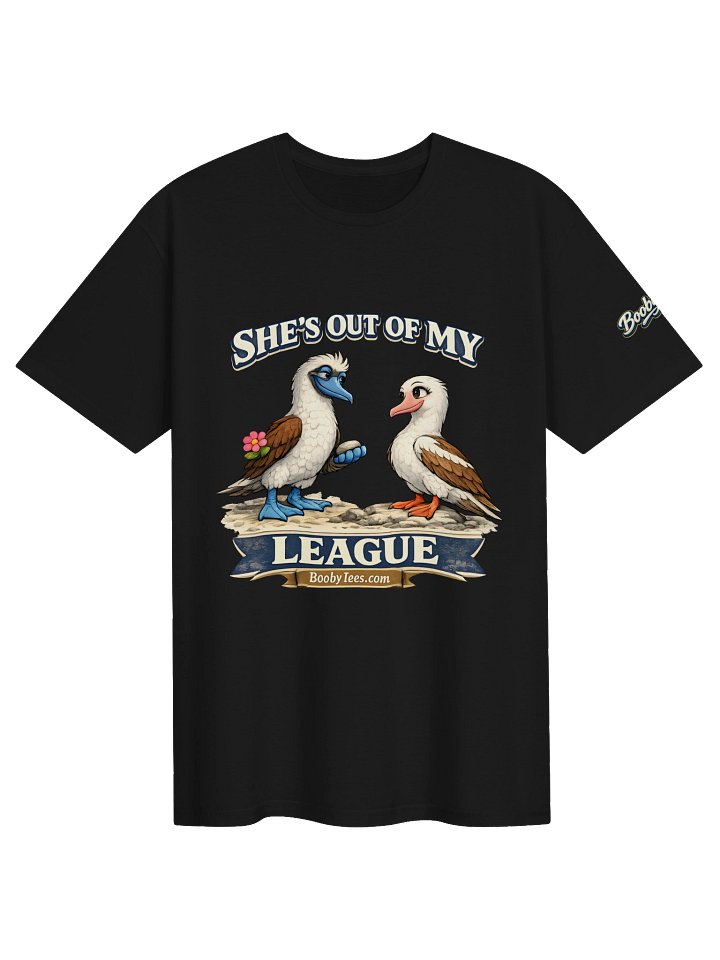 She's Out of My League product image (1)