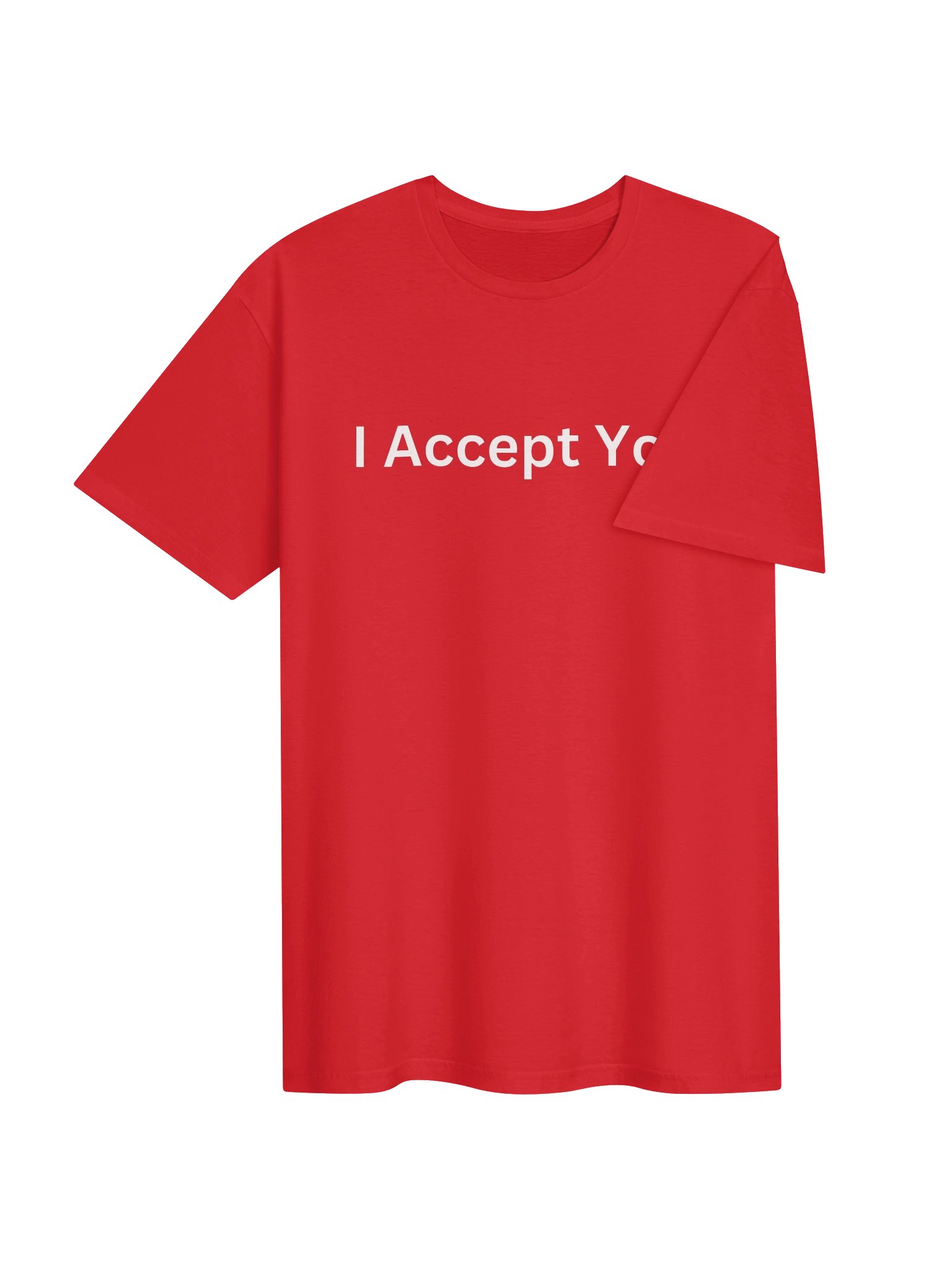 I Accept You T-Shirt product image (14)