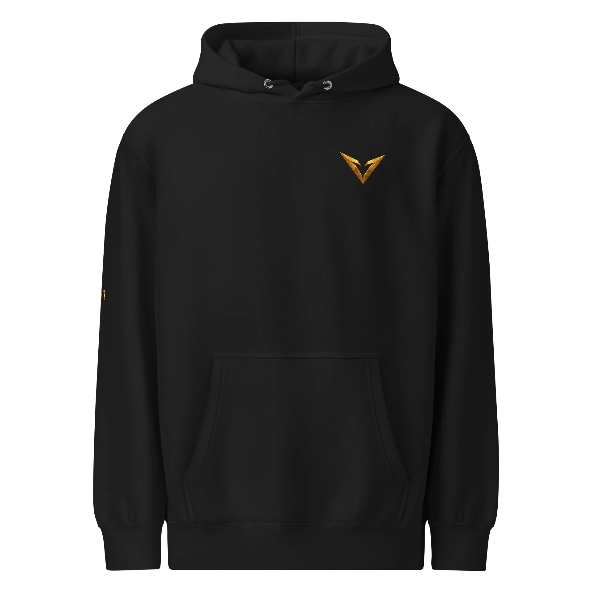 Ascend Premium Hoodie product image (1)