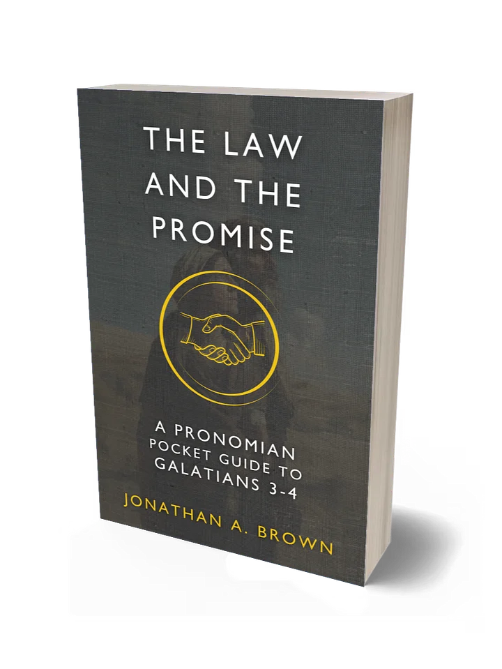 The Law and the Promise: A Pronomian Pocket Guide to Galatians 3–4 product image (1)