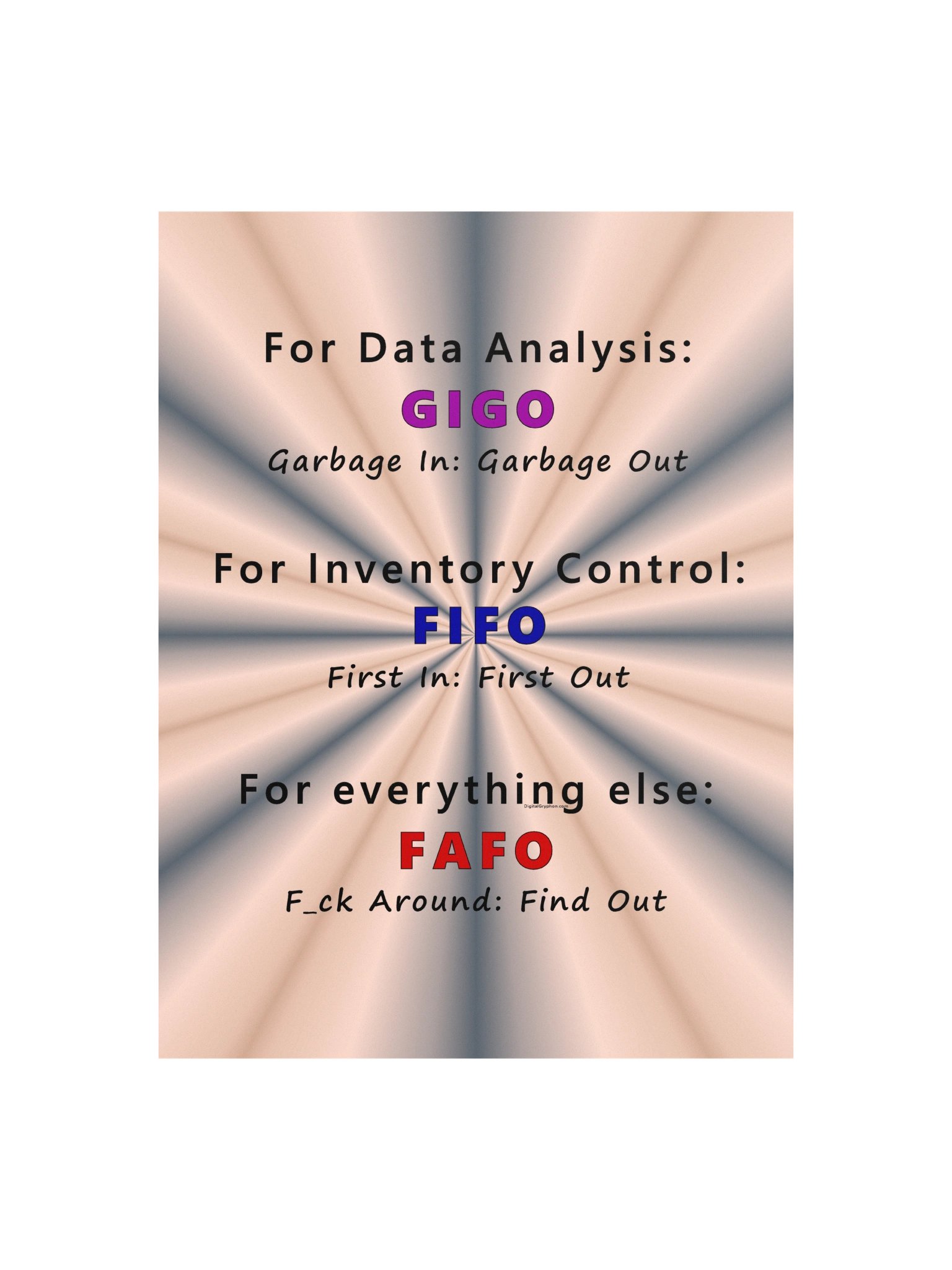 GIGO FIFO FAFO Poster product image (1)