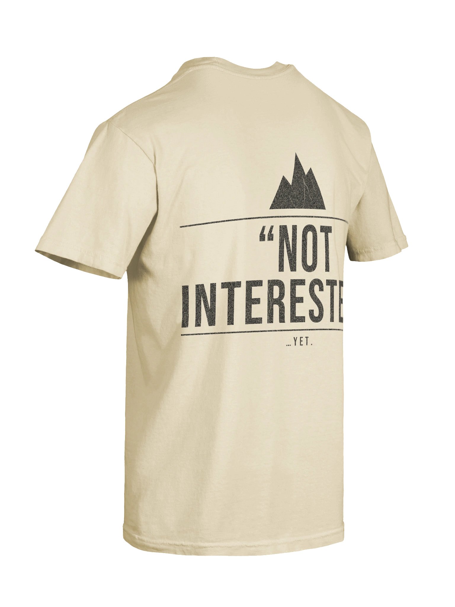 "Not Interested" Heavyweight Tee — Ivory product image (8)