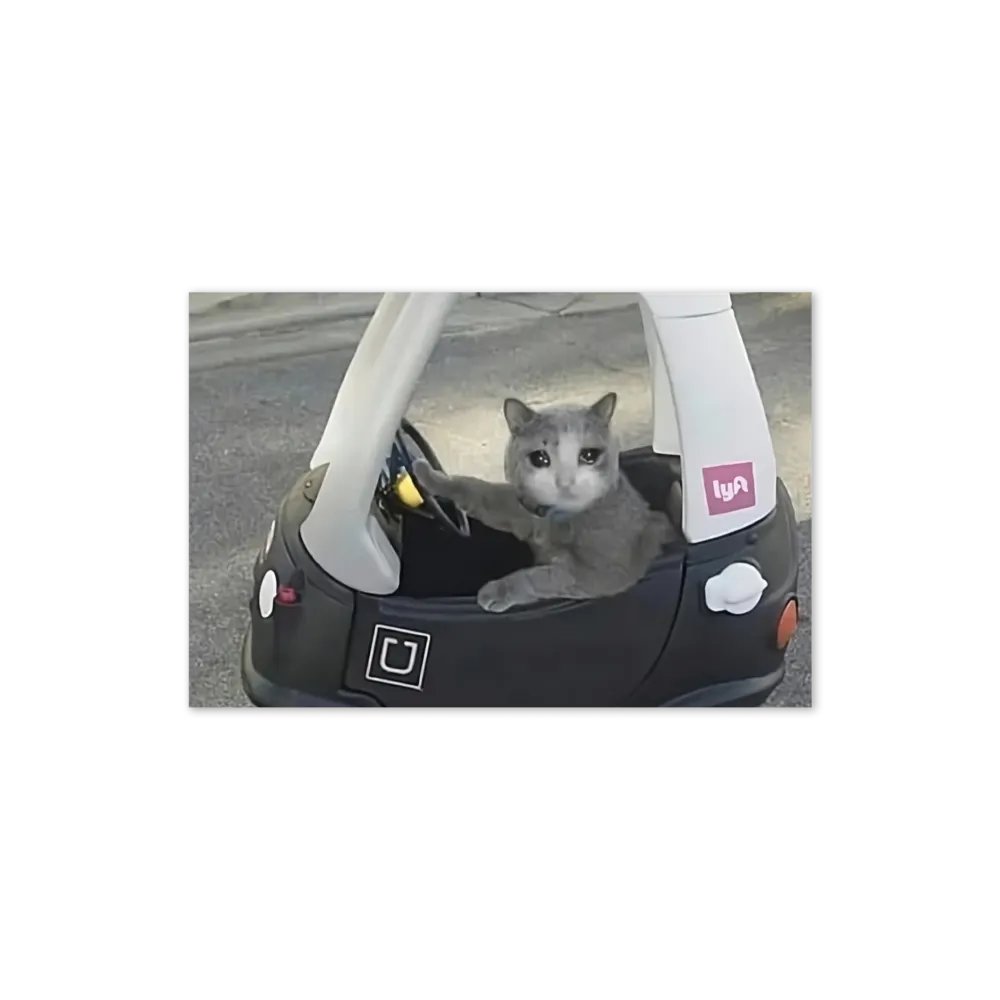 Greening Card: Meme Cats driving product image (22)