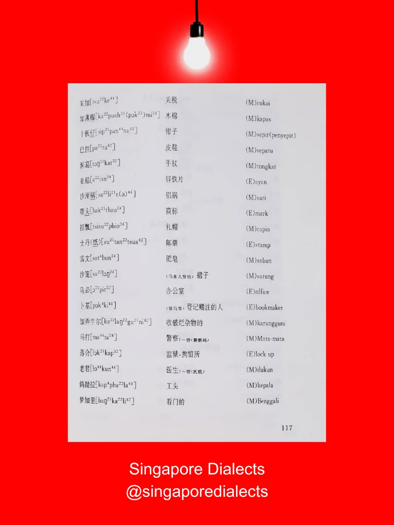 A Survey of Singaporean Hokkien 新加坡闽南话概说 product image (5)
