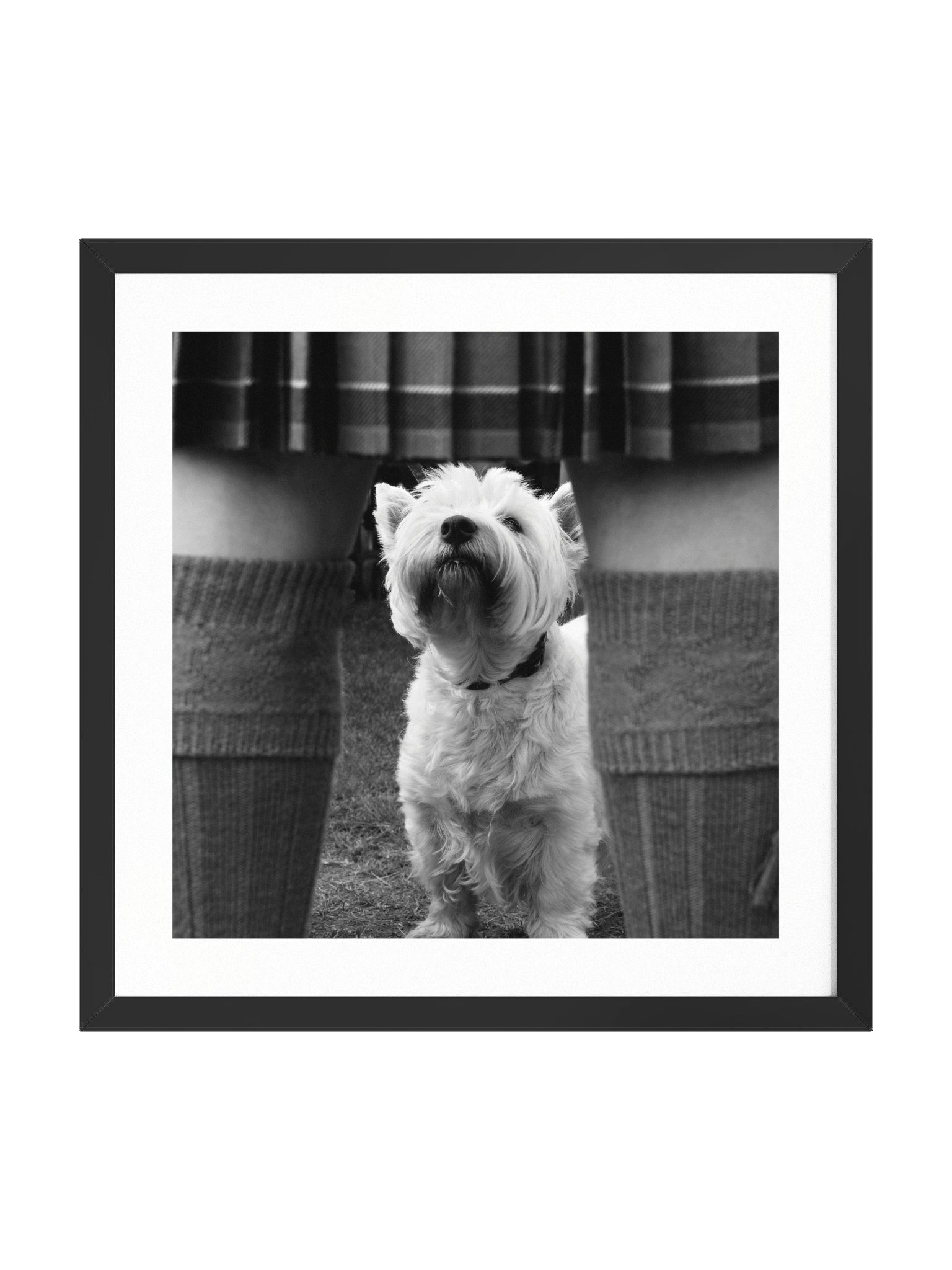 Wee Jock Print 2006 Lonach Games Scotland product image (1)