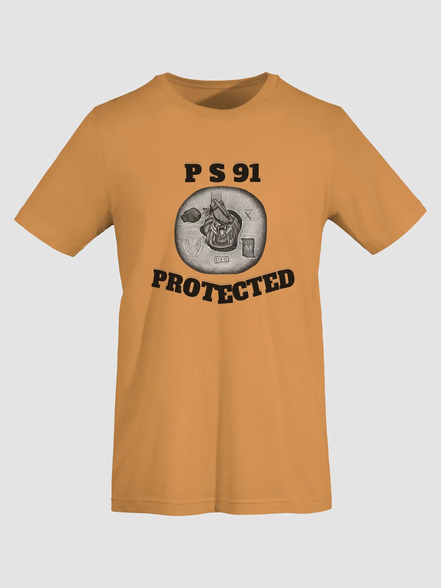 PS91 (Protected) Short sleeve Tee product image (3)