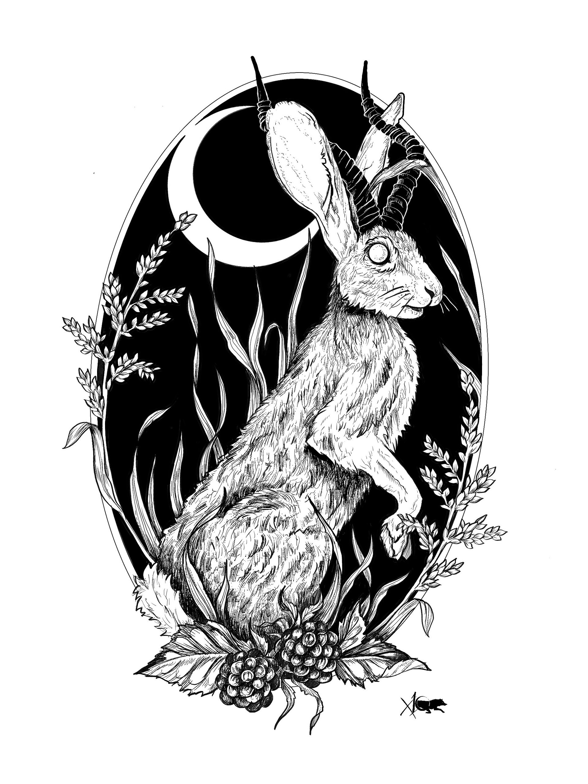 Jackalope Print product image (1)
