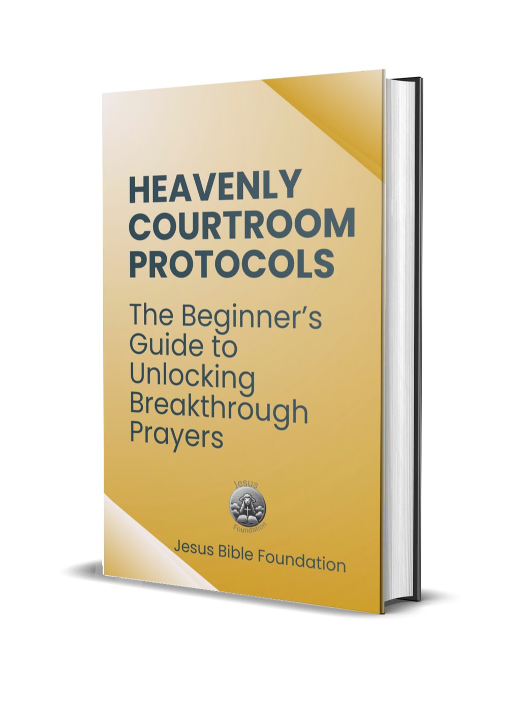 Heavenly Courtroom Protocols: The Beginner’s Guide to Unlocking Breakthrough Prayers product image (1)