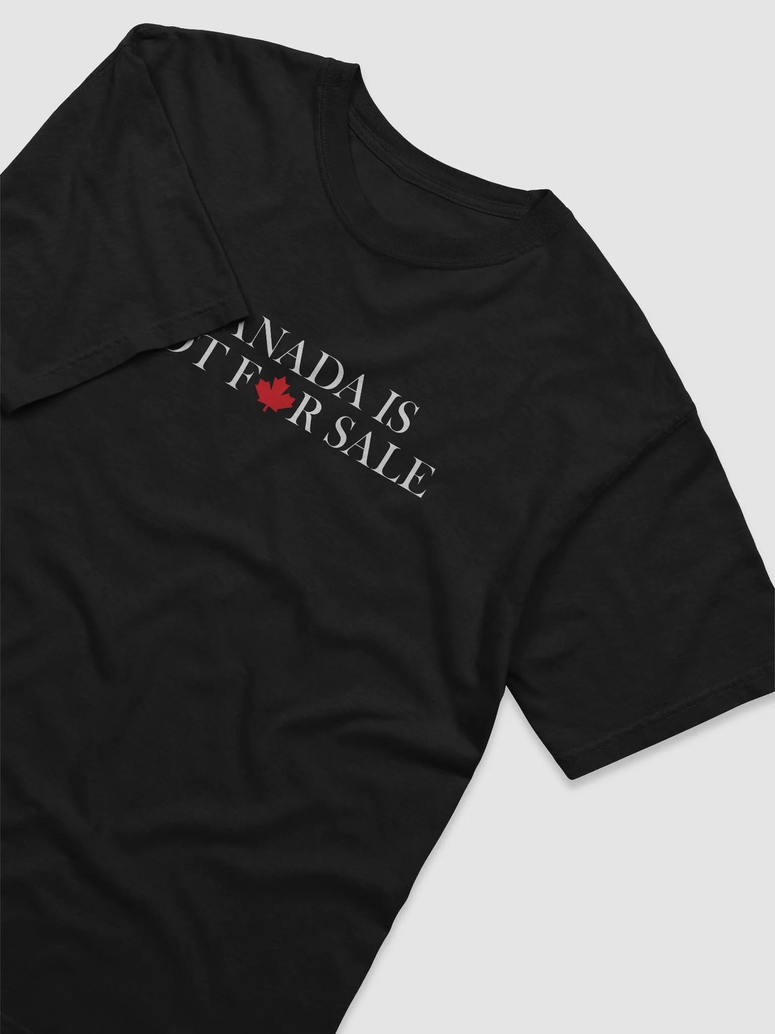 Canada Is Not For Sale | Comfort Colors Heavyweight T-Shirt product image (4)
