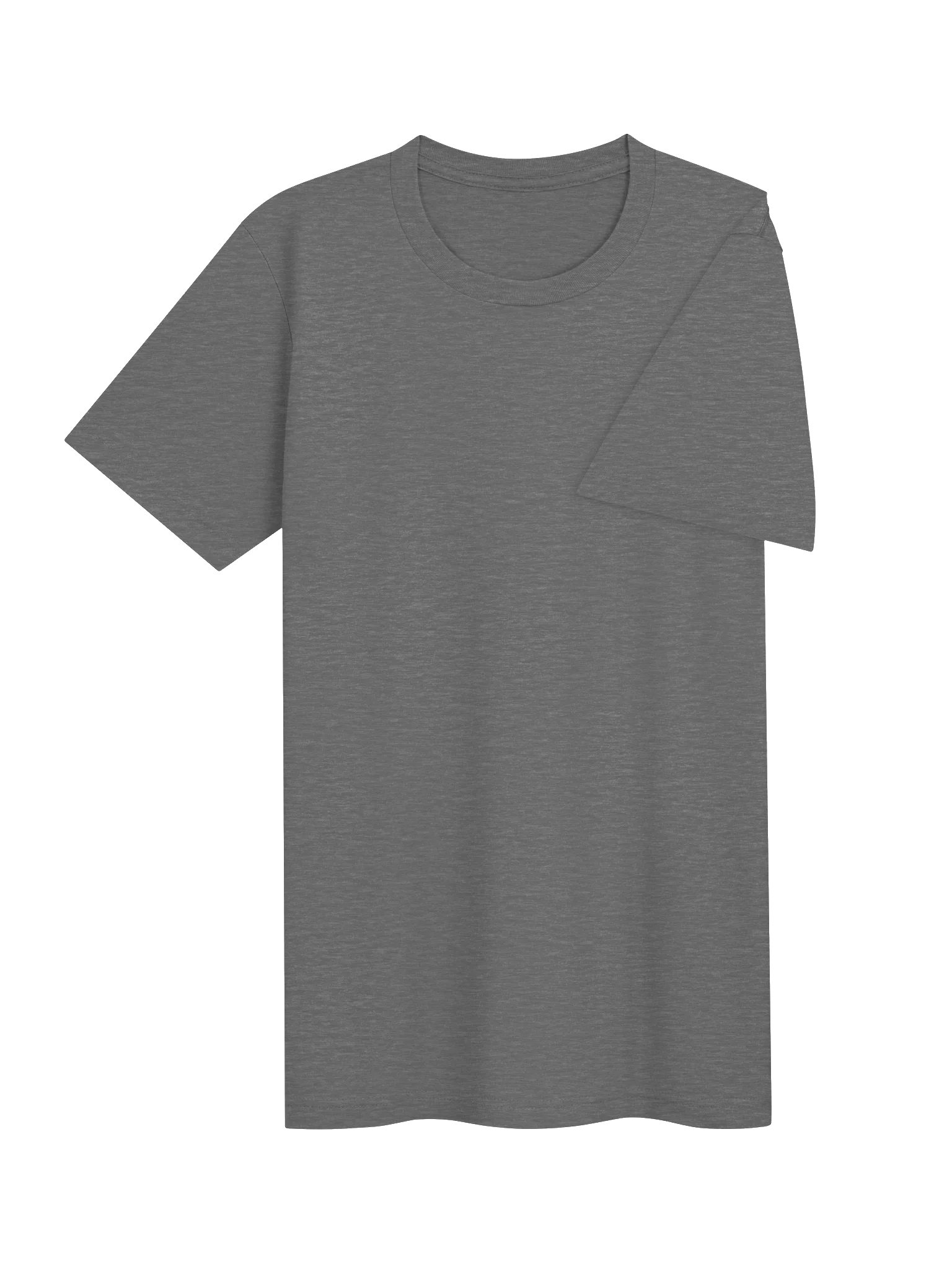 TS Logo Tee product image (4)