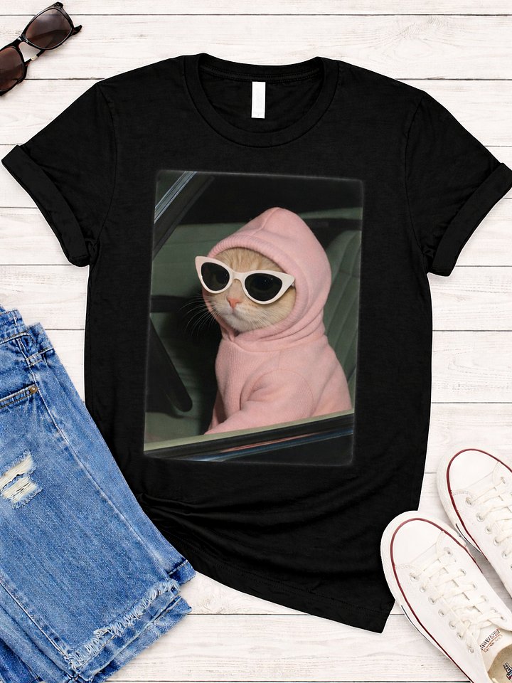 Your Uber driver pulled up and it's this diva product image (1)
