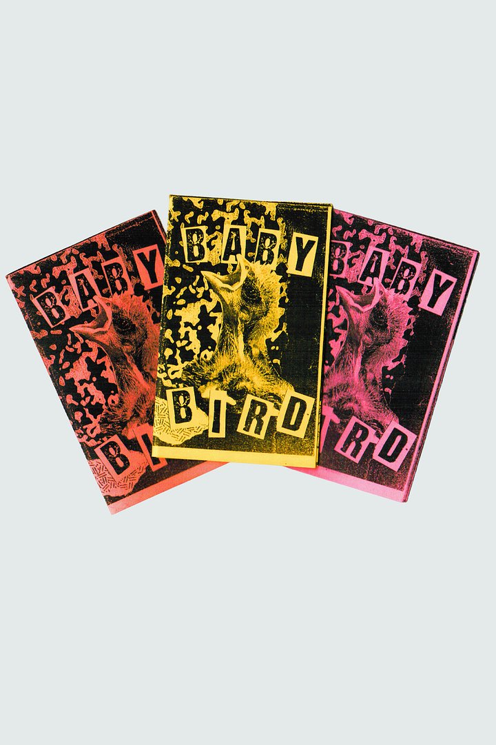 "Baby Bird" Minizine product image (1)