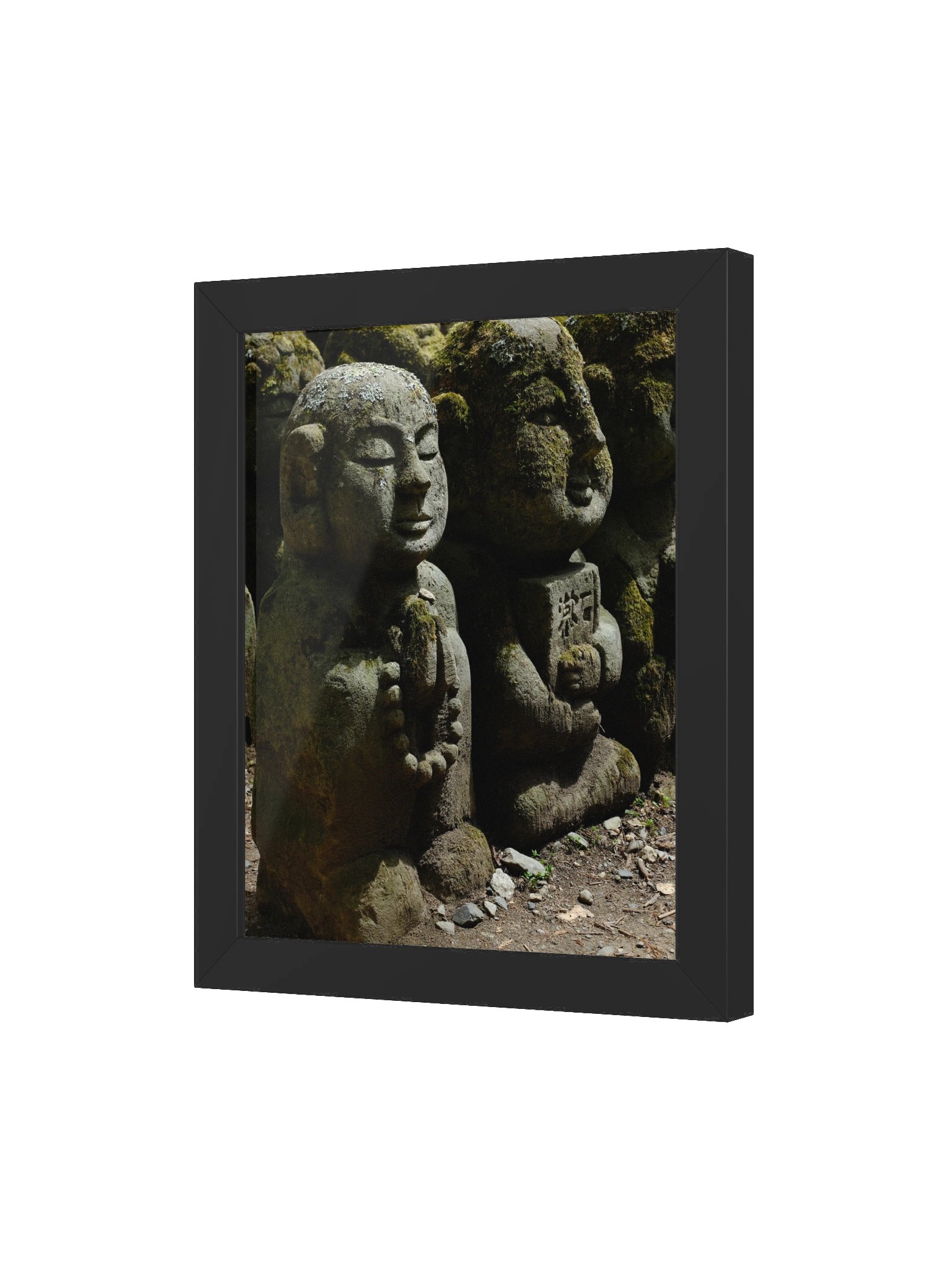 Mossy Buddha product image (56)
