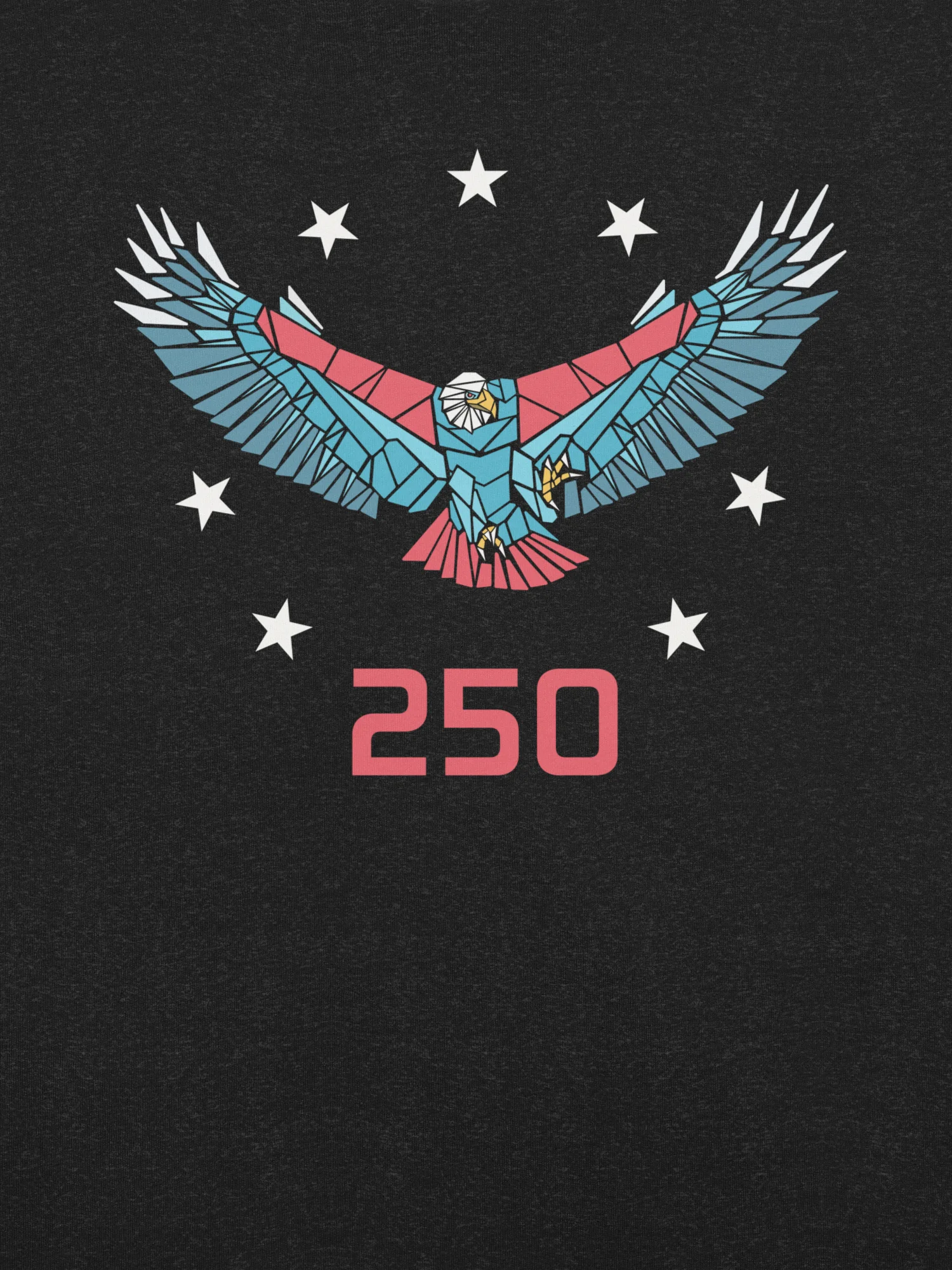 250 SPIRIT EAGLE product image (8)