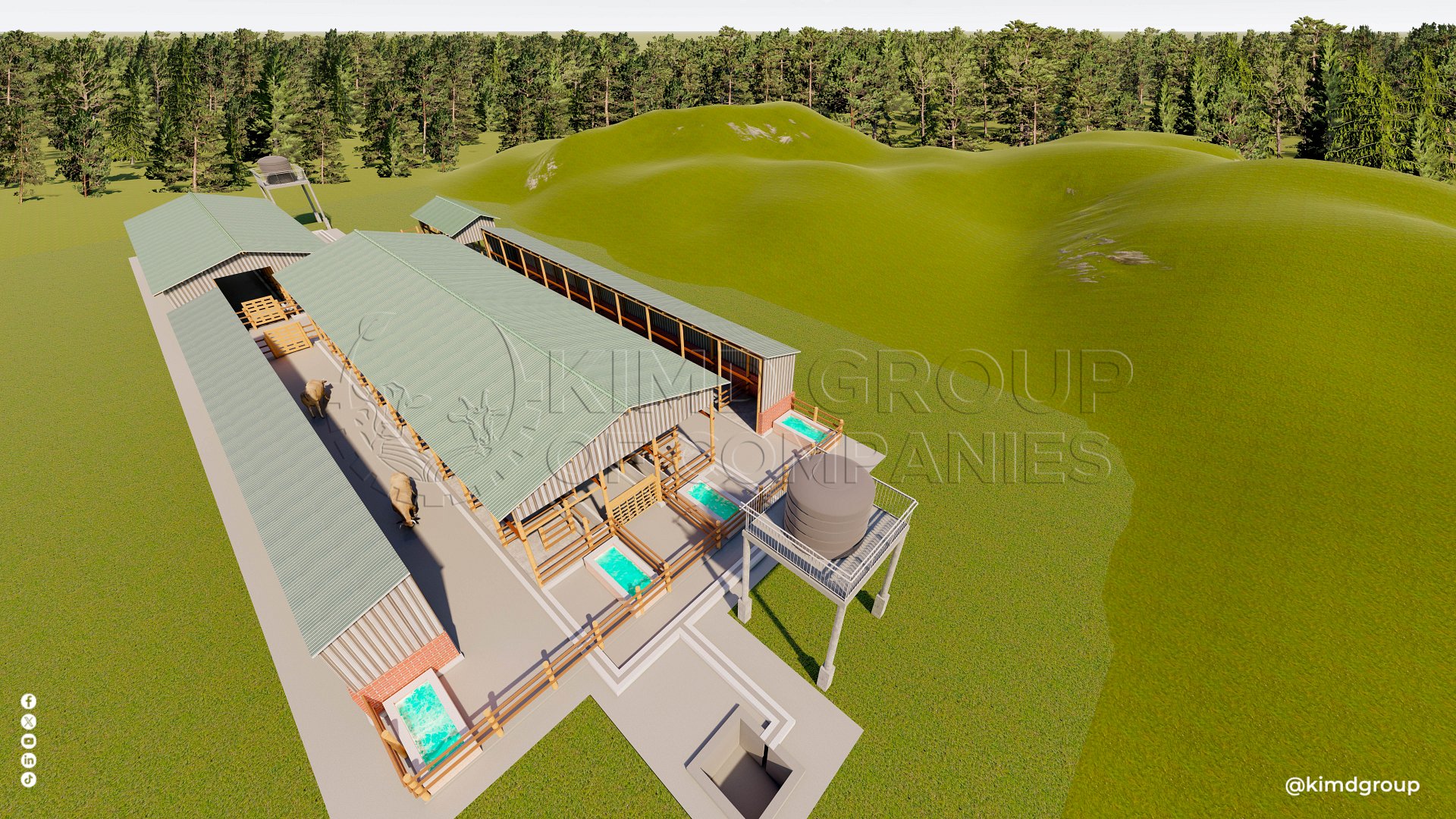 40 Dairy Cow Design Plan product image (4)