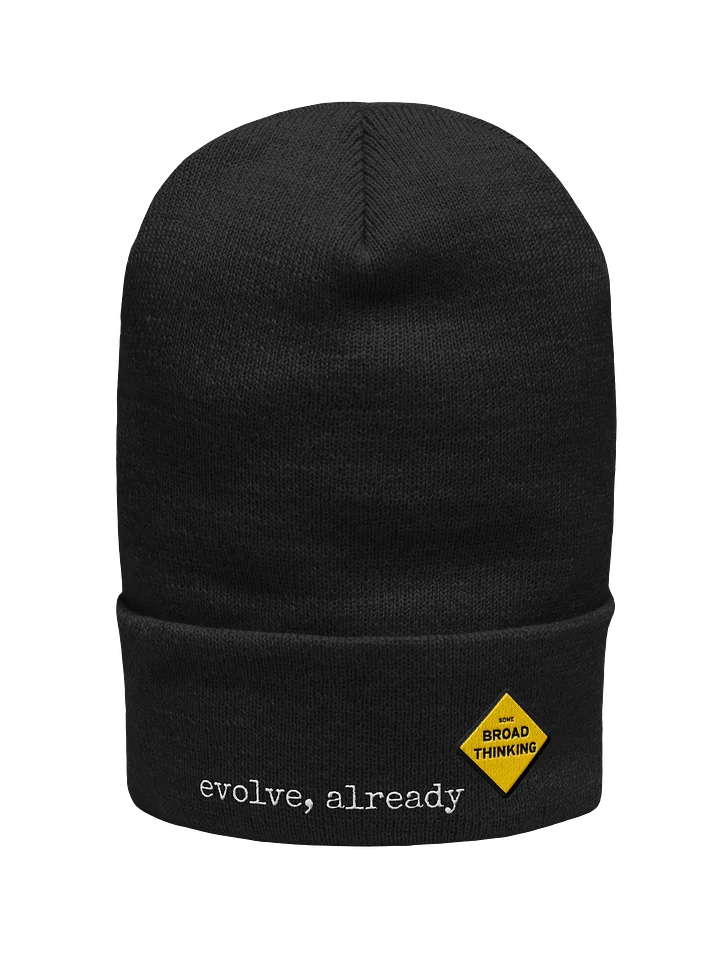 "evolve, already" Beanie product image (1)