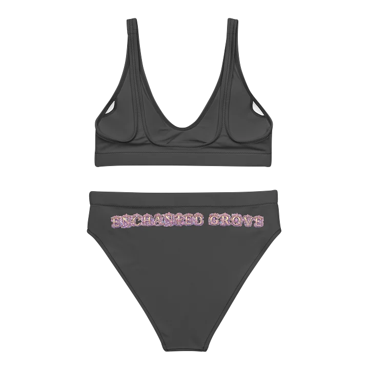 Kingdom Grovelings High Waisted Bikini Set product image (2)
