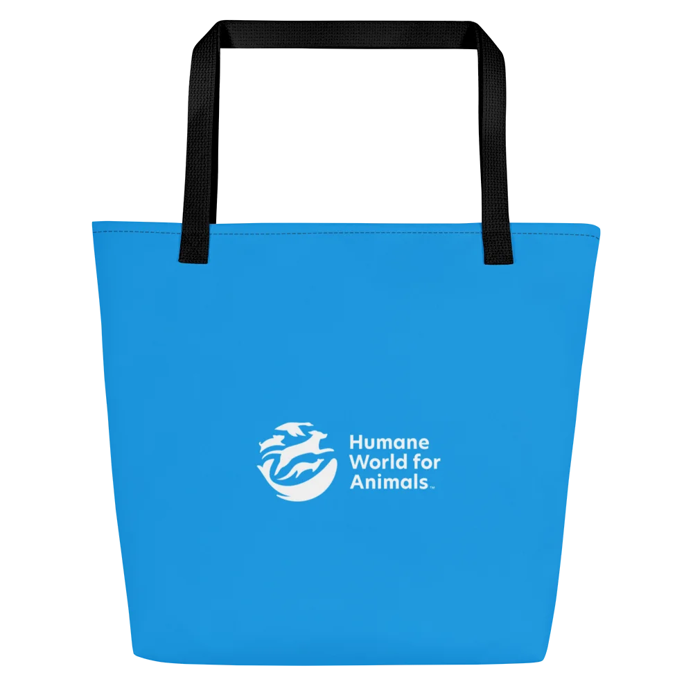 Supergraphic Logo - Tote bag with pocket - Blue product image (3)