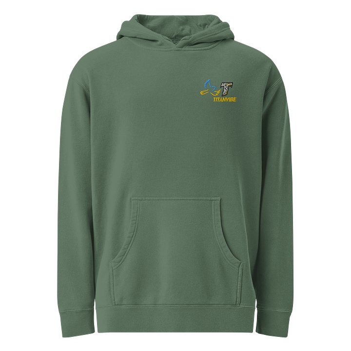 TitanVibe Swirl Bird Pigment Dyed Hoodie product image (2)