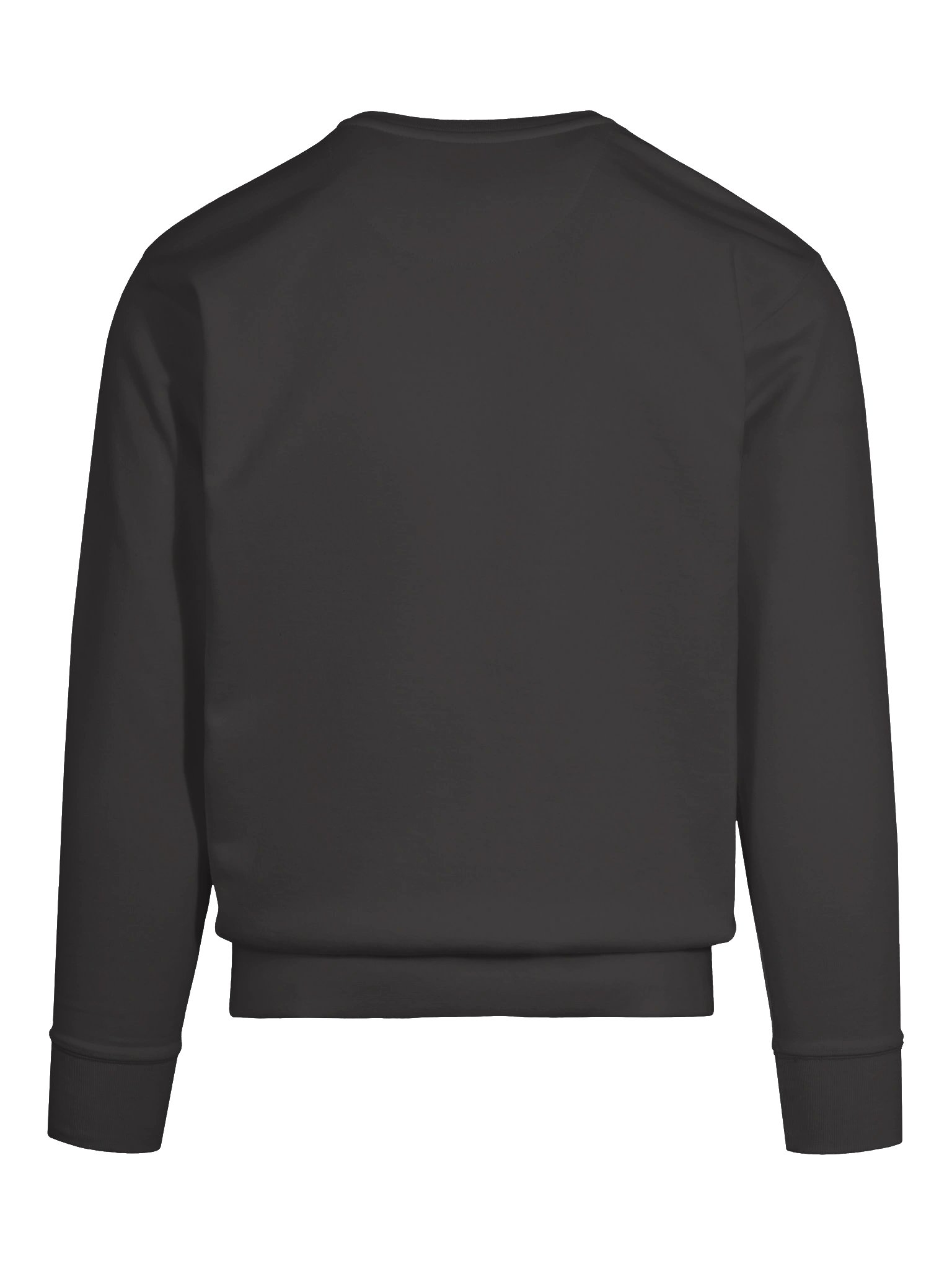 Evading Stupidity premium sweatshirt product image (11)