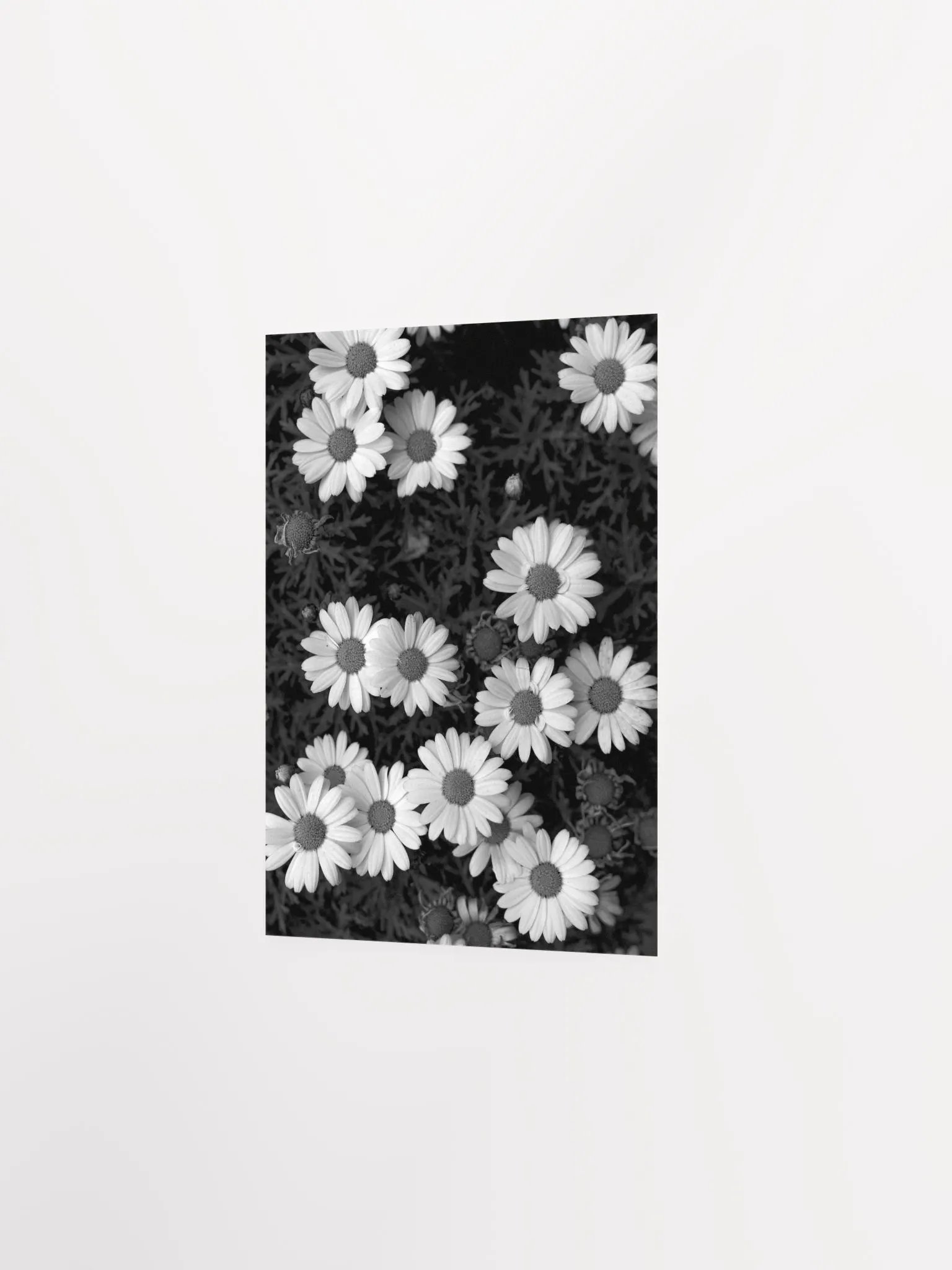 Margaritas - Enhanced Matte Paper Poster product image (2)