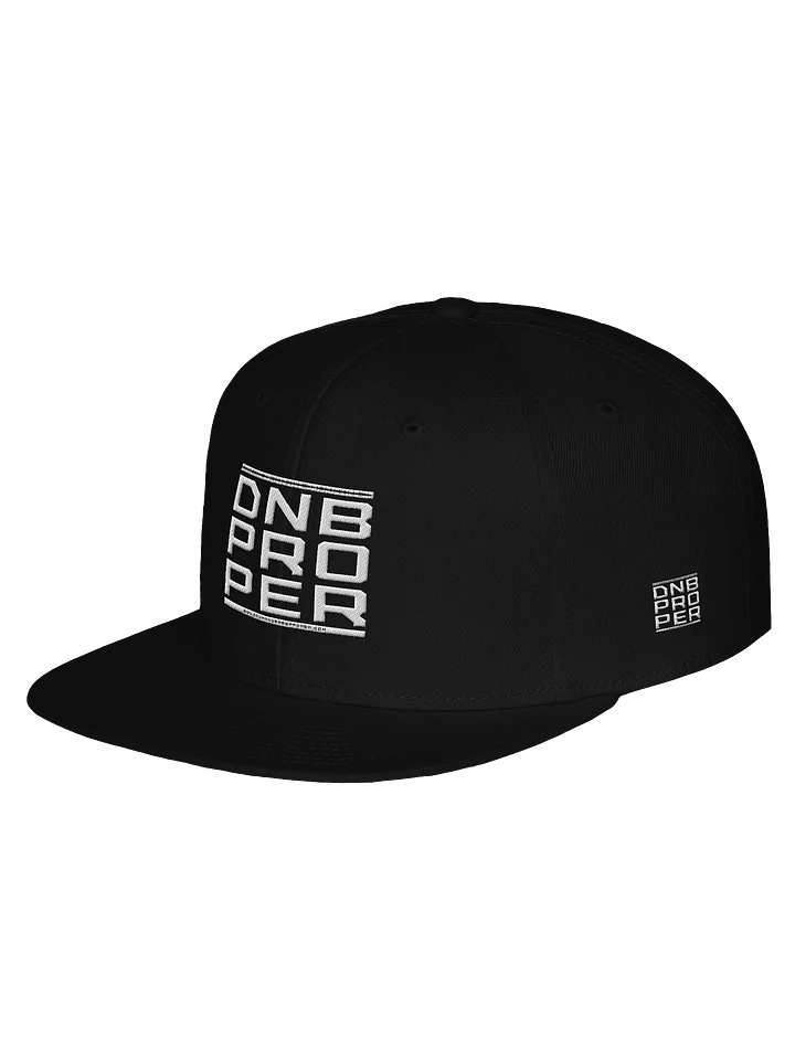 Large Logo Hat product image (2)