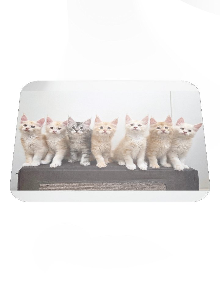 Freya's Kittens - Mouse Pad product image (1)