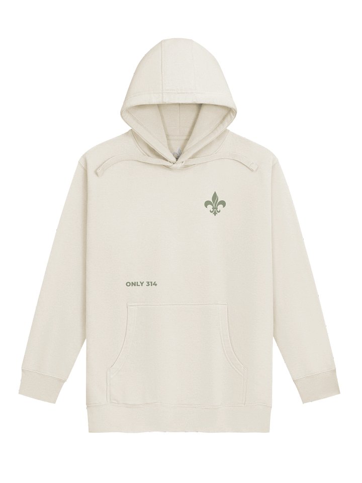 THE LOU - Camo Hoodie product image (2)