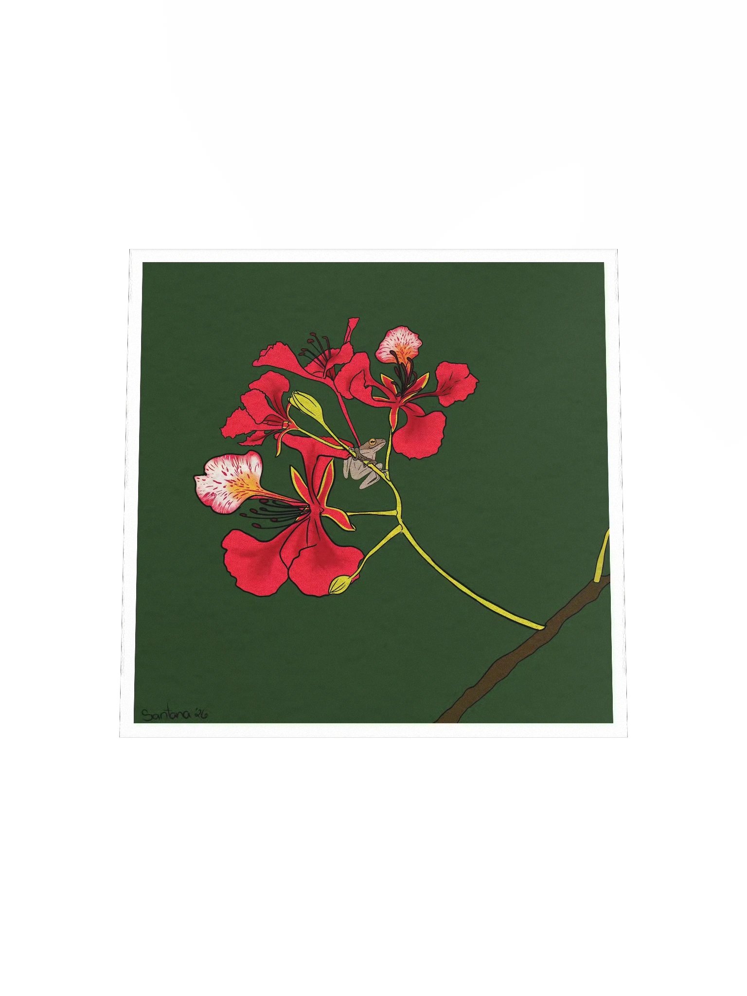 Legacy in Bloom: Flamboyán & Coquí Art Print product image (4)