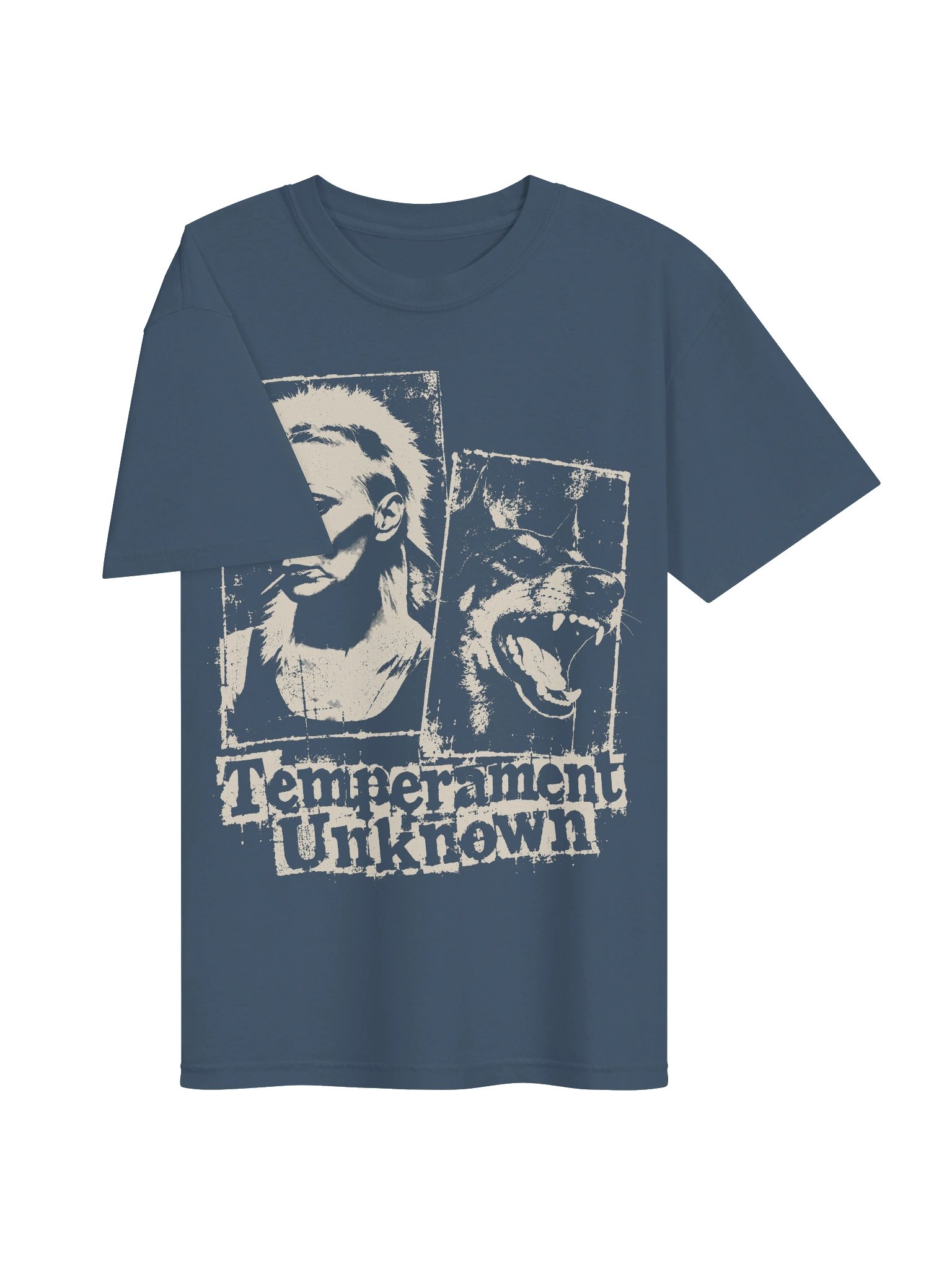 Temperament Unknown Heavyweight Vintage Graphic Tee product image (3)