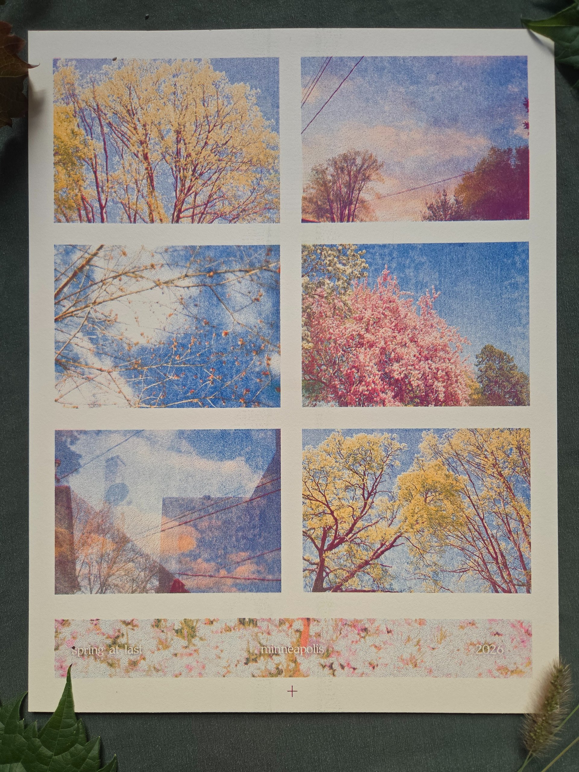Minneapolis Spring Photos Riso Print product image (2)