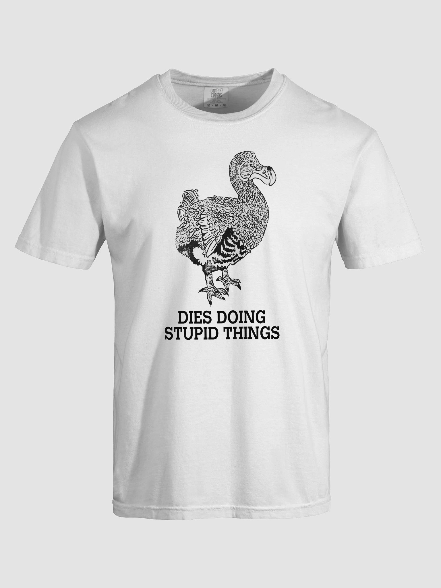 CHILL DODO HEAVYWEIGHT TEE product image (5)