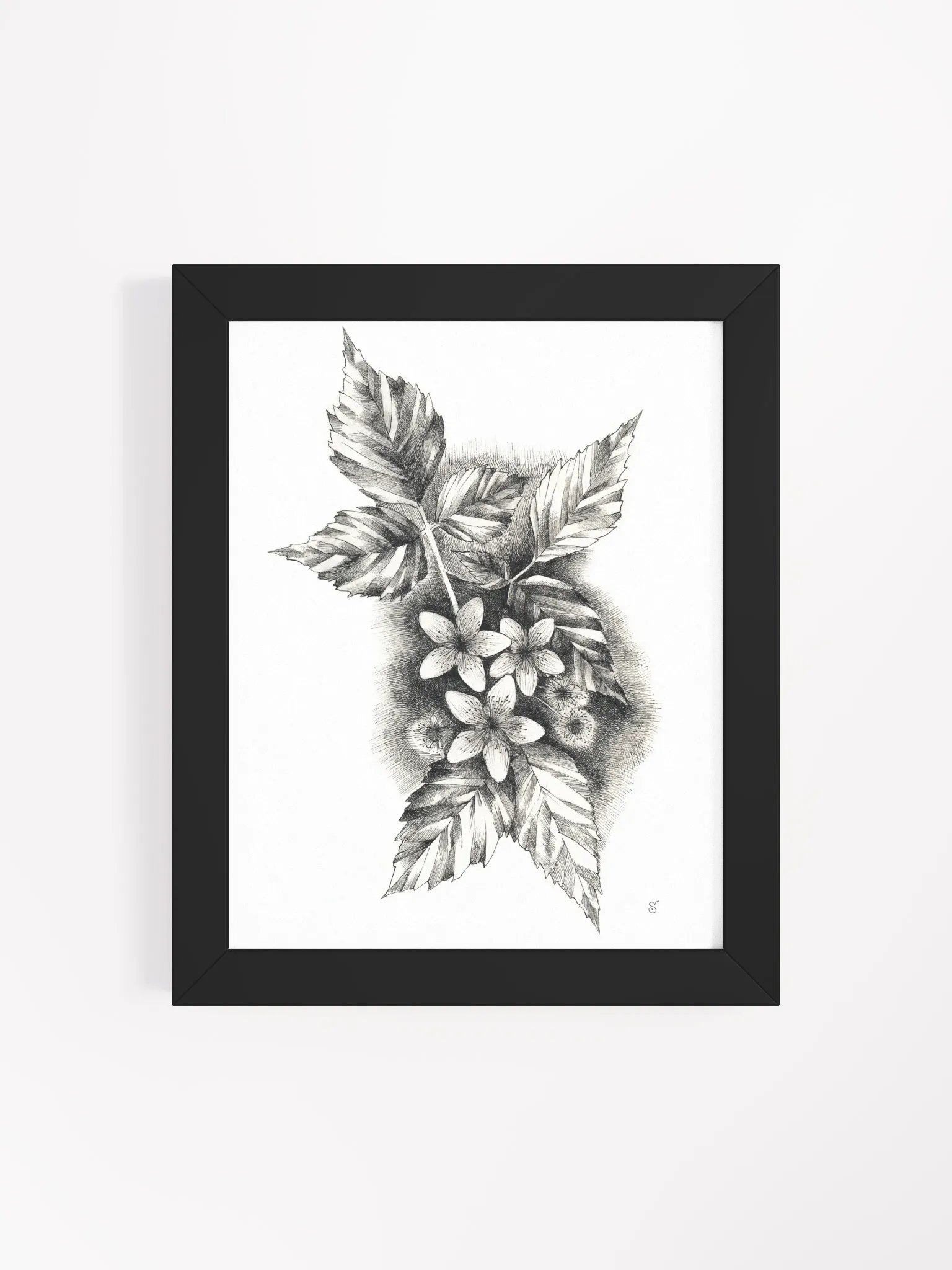 Botanical Bliss Framed Matte Poster. - Jasmine product image (22)