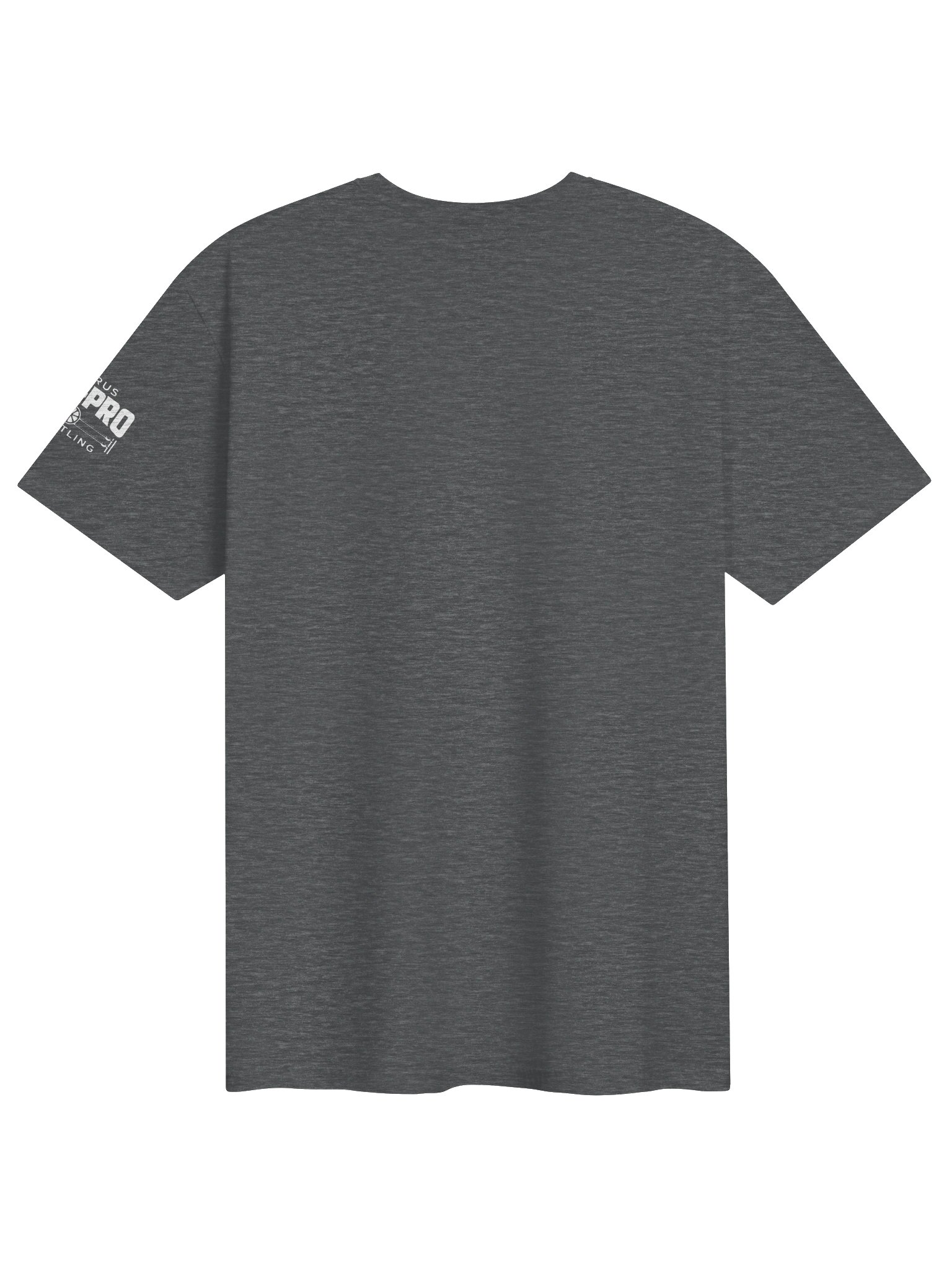 CAPW "Two Flags, One Ring" Tee product image (2)