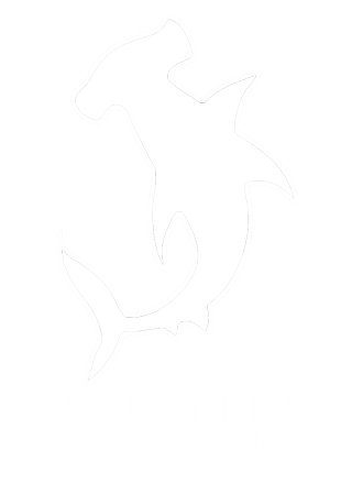 Hammerhead Model Making