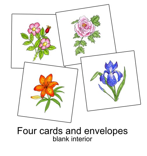 Flowers Card Package product image (1)