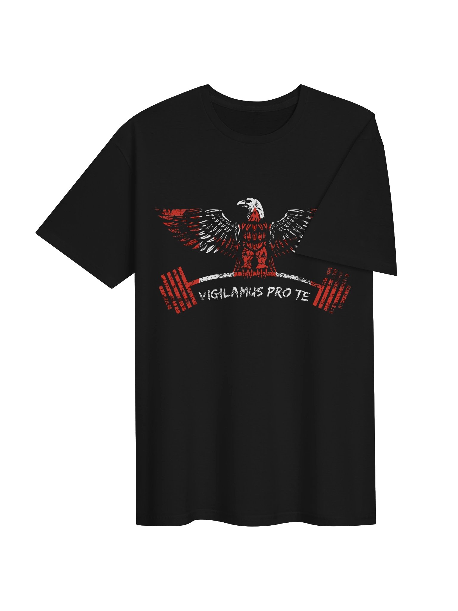 Canada Gym Eagle product image (4)