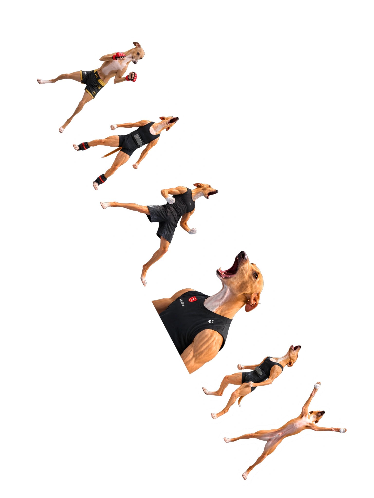 Stickers product image (2)