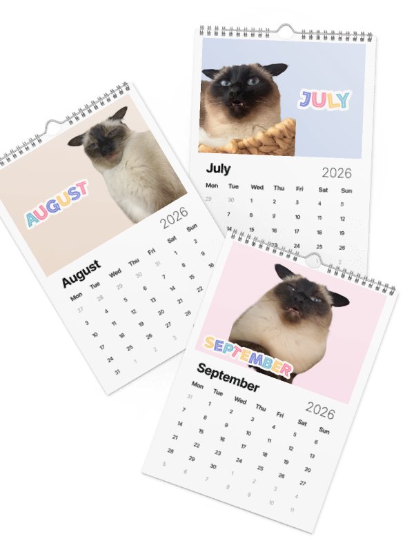 2026 Dobby Calendar product image (3)