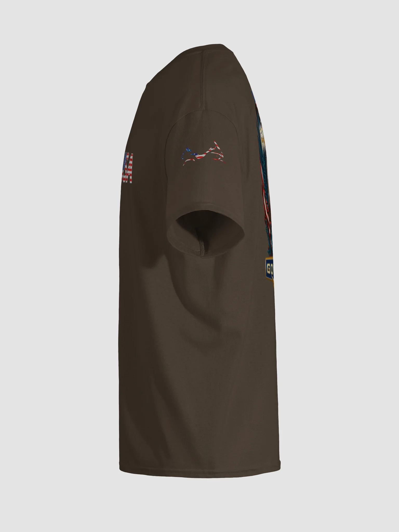 America 250 GOLDWING Tee Shirt (Back Only) product image (11)
